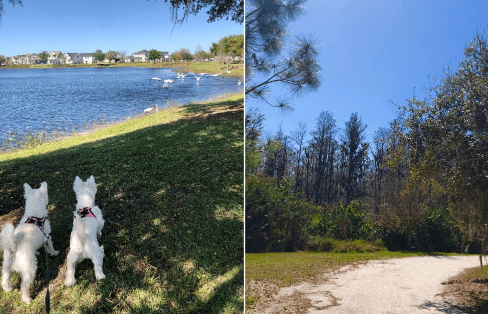 Four Fresh Air Activities To Do in Lake Nona 1